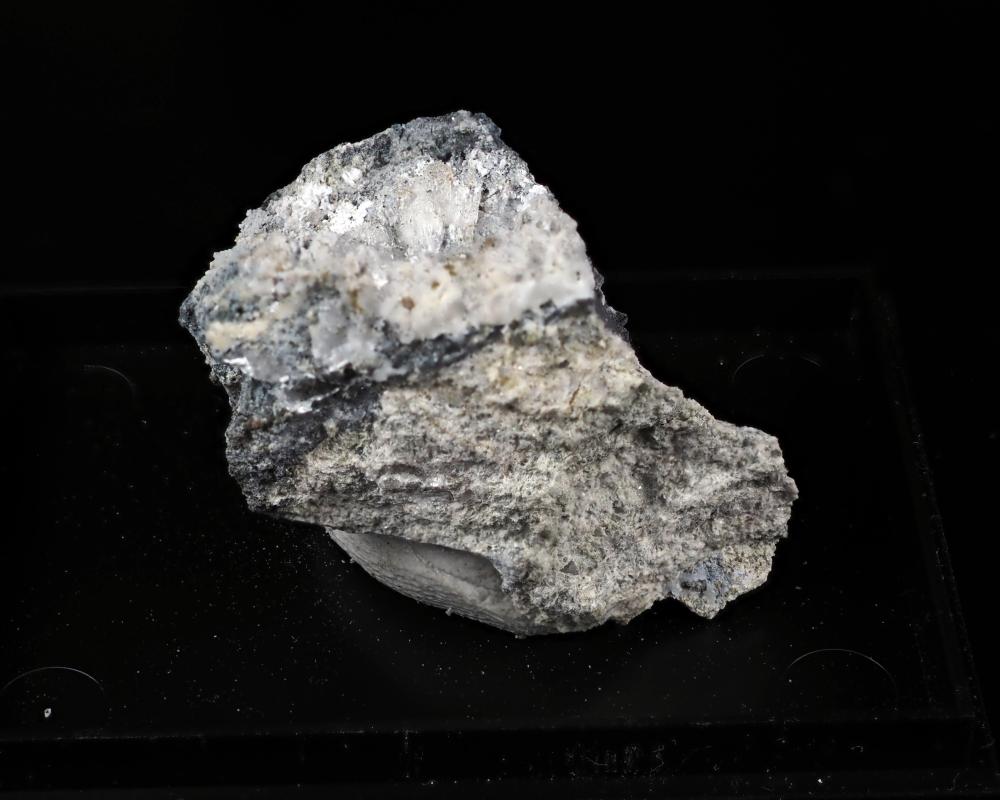 Chongite